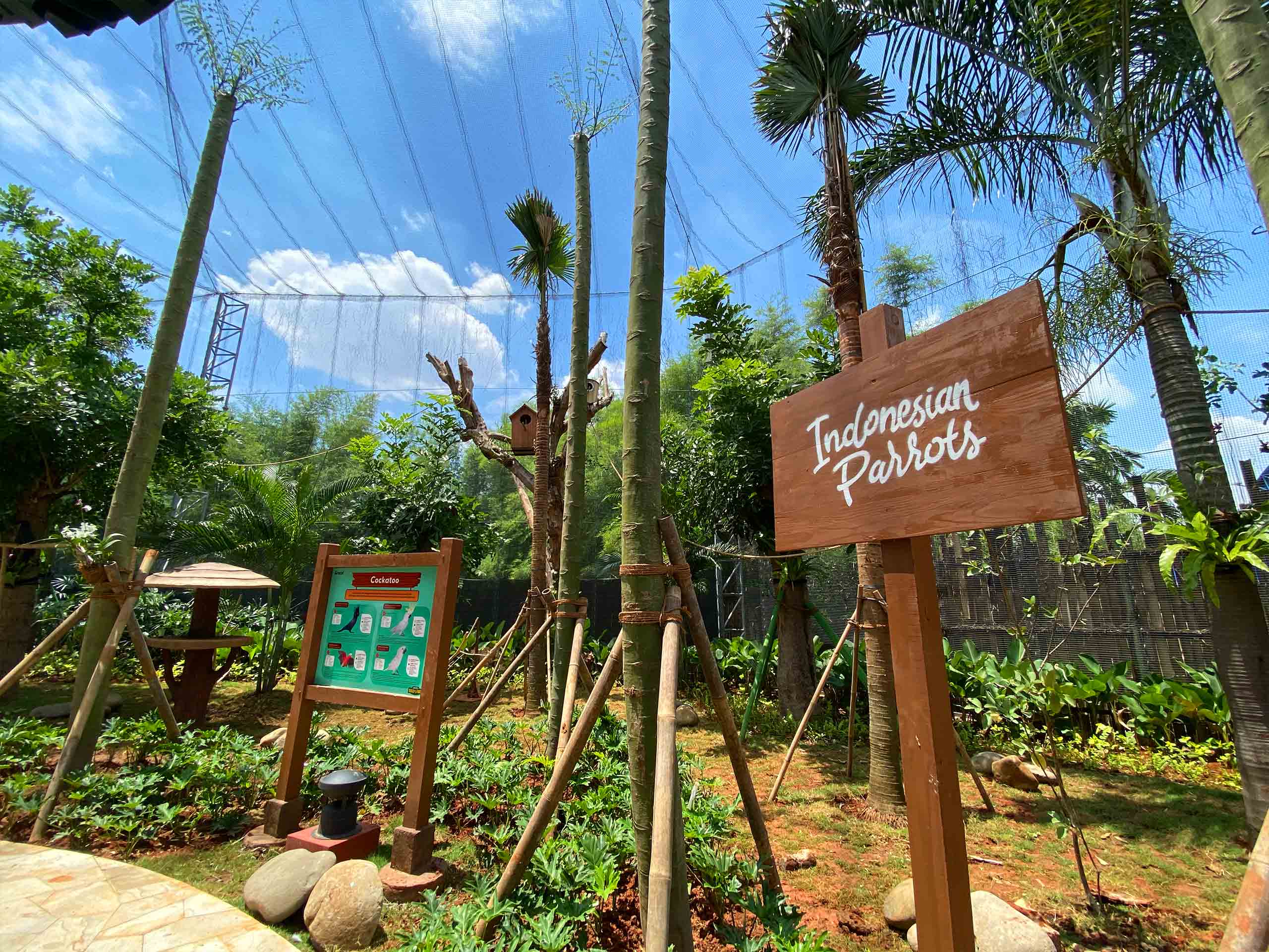 JBL-Indonesian-Parrots.jpg